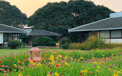 Deluxe River View Rooms